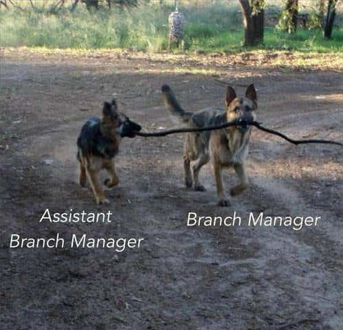 10-Branch-Manager