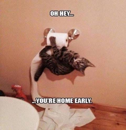 Oh hey ... you're home early.