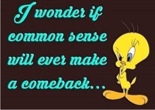 I wonder if common sense will ever make a comeback ...