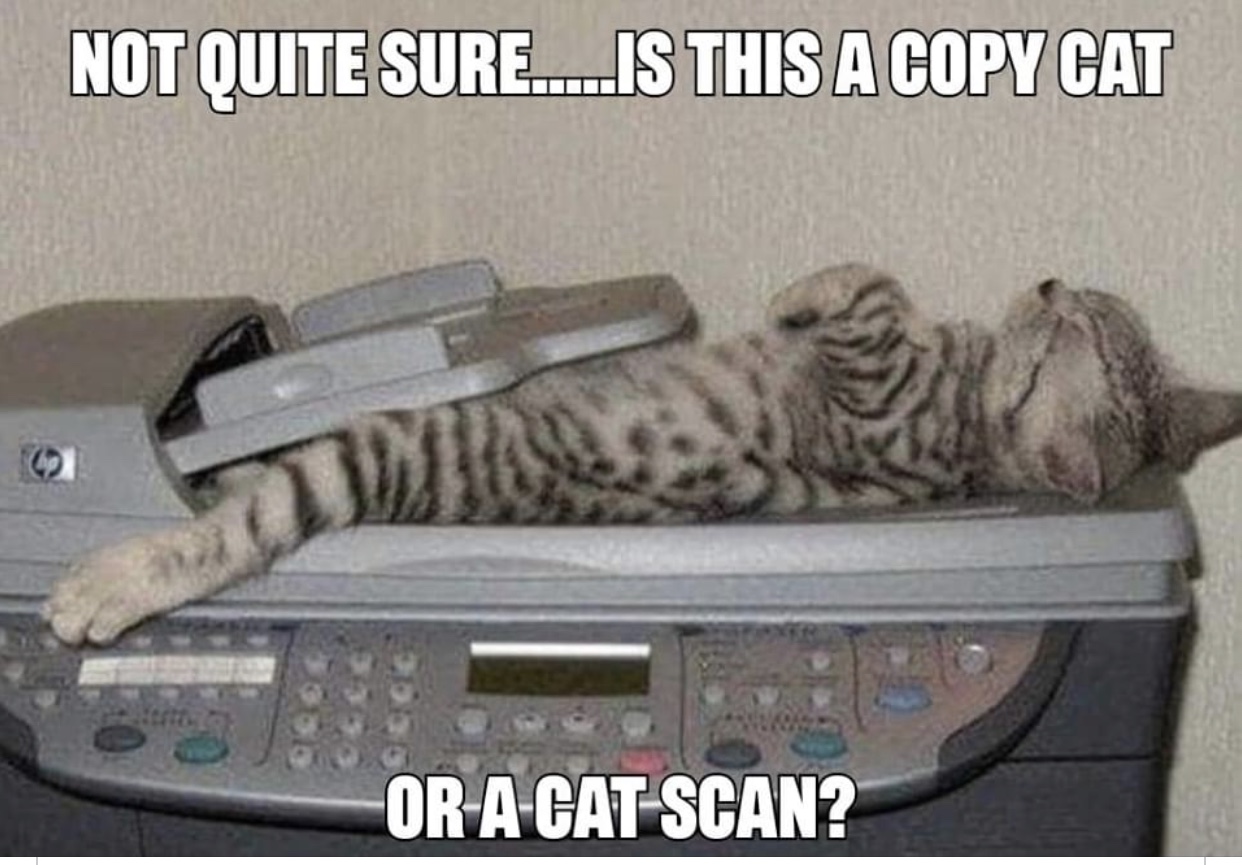 Copy cat or cat scan?