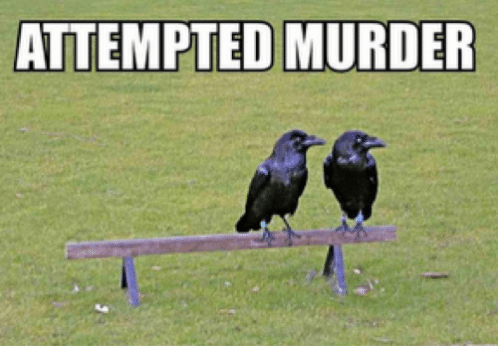 attempted murder