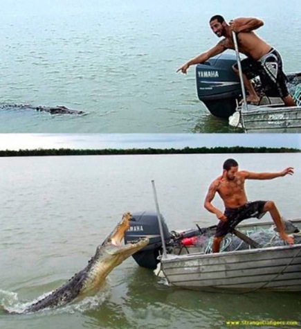 Croc boat