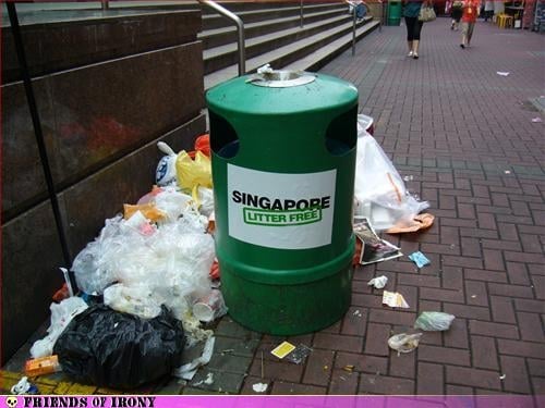 Singapore litter