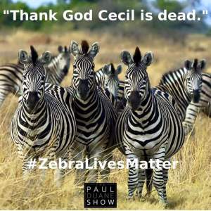 Zebra lives matter