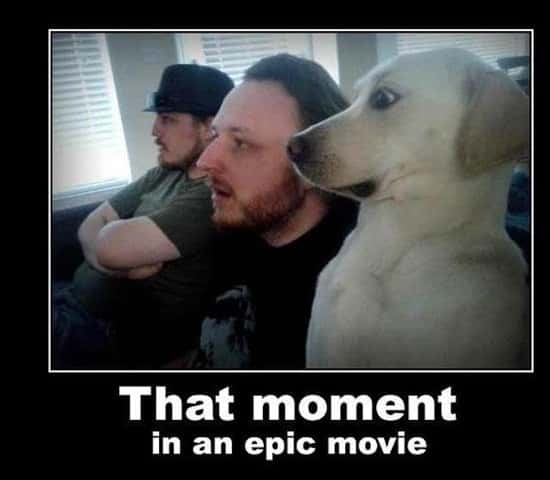 11-Epic-Moment