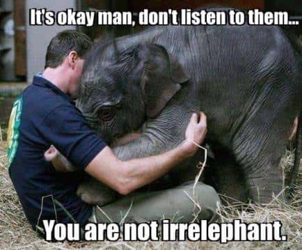 12-Irrelephant