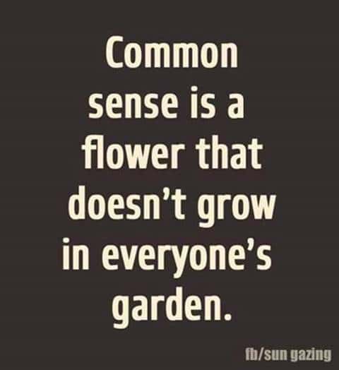 common-sense