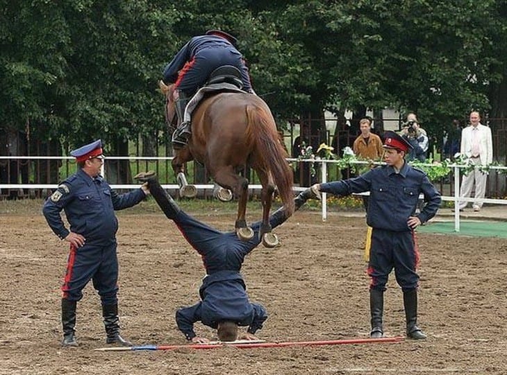 horse-jumping