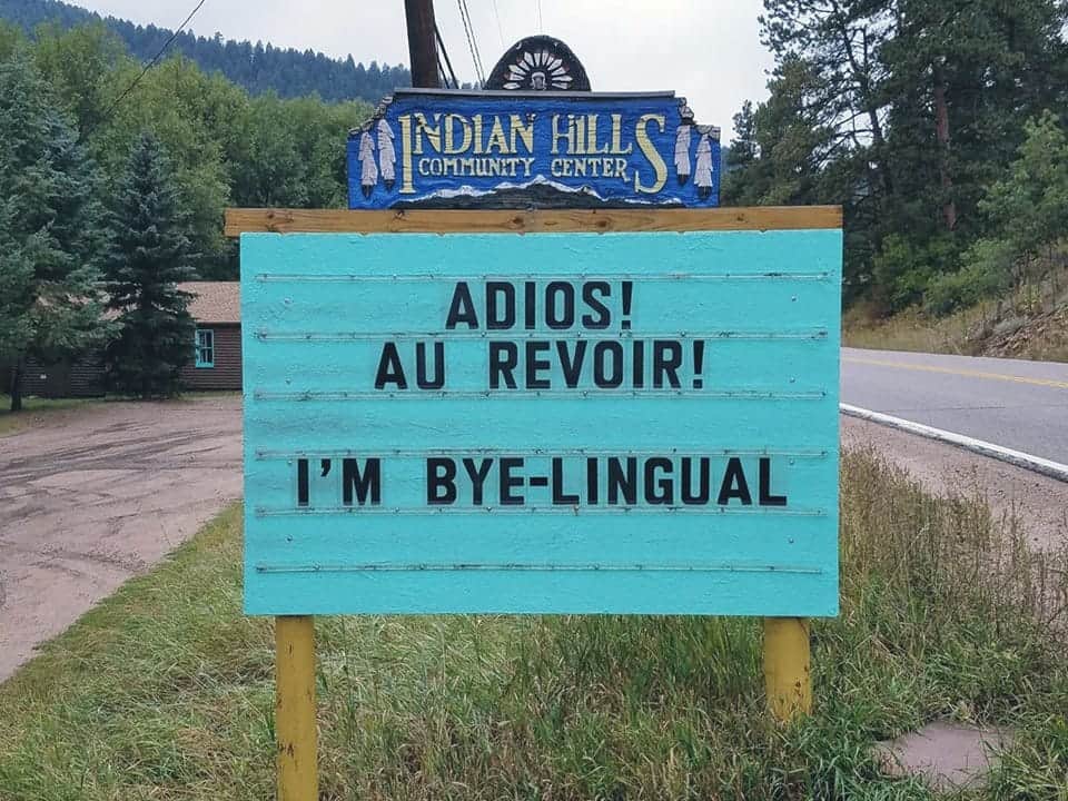 Adios! Au Revoir! I'm bye-lingual