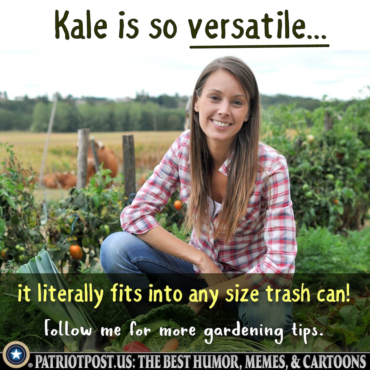 Kale is so versatile