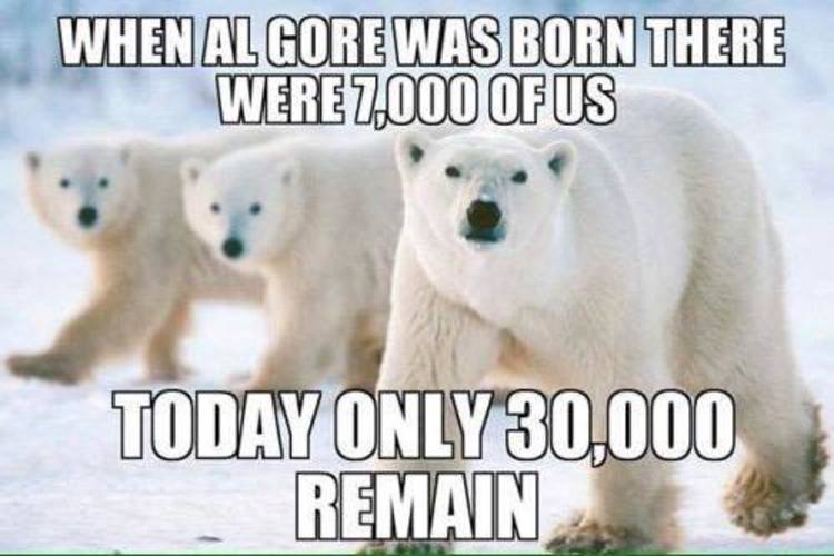 Polar bears